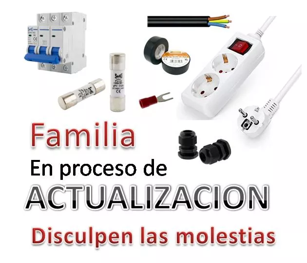 Familia de ELECTRICIDAD en Proceso de ACTUALIZACION