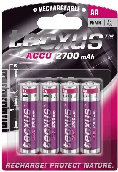 Pila Recargable Tecxus 2700mAh Blister-4